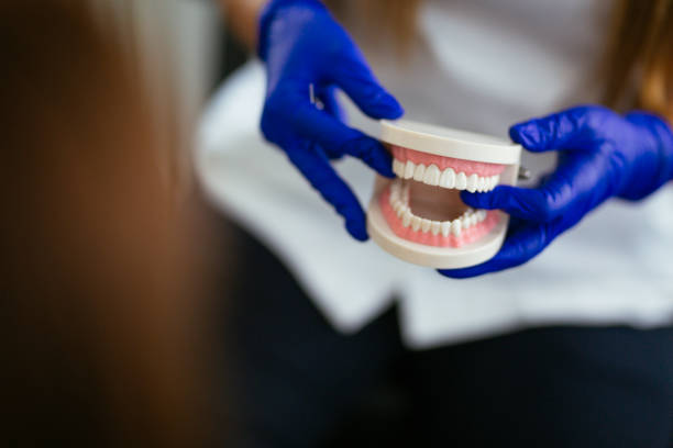 Best Traditional Braces  in Dana, NC